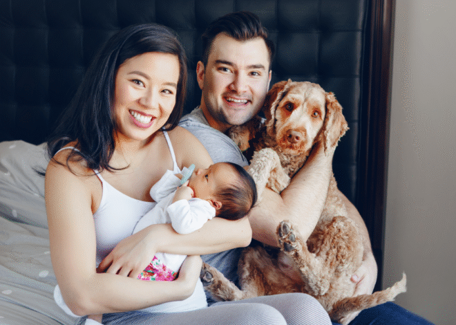Introducing Your Pet to a New Baby: A Step-by-Step Guide