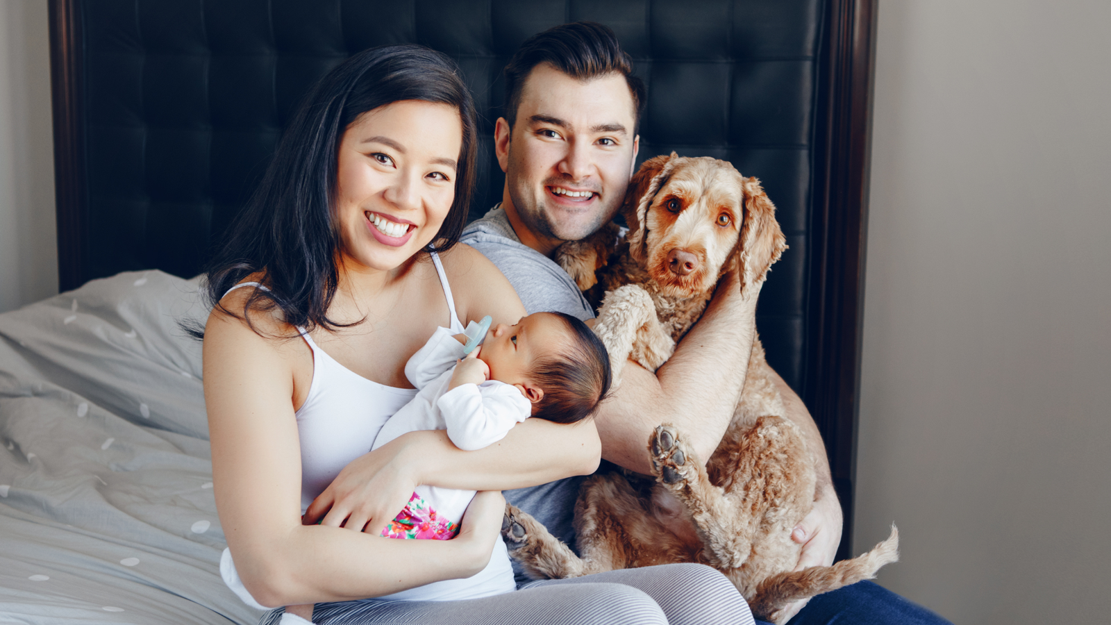 Introducing Your Pet to a New Baby: A Step-by-Step Guide