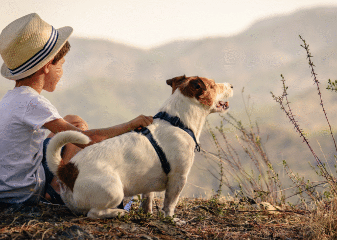 Top 7 Tips for Stress-Free Family and Pet-Friendly Travel
