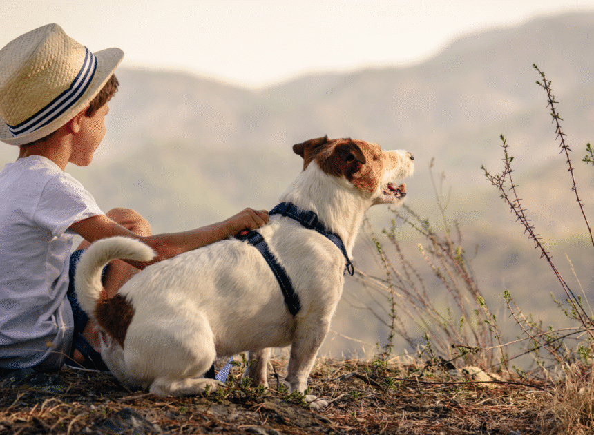 Top 7 Tips for Stress-Free Family and Pet-Friendly Travel