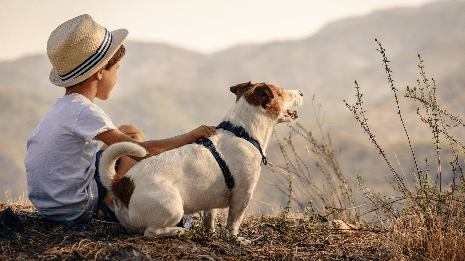 Top 7 Tips for Stress-Free Family and Pet-Friendly Travel